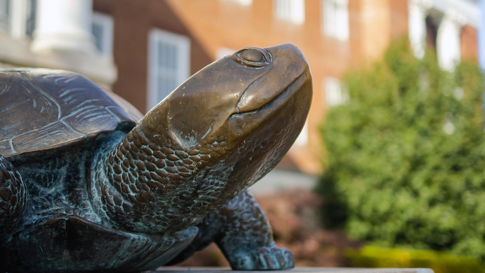 A statue of Testudo looks out into the distance