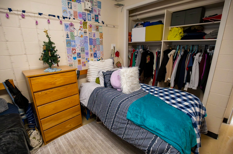A cozy, decorated residence hall room featuring a personalized wall collage, a small desk tree, and organized closet storage.