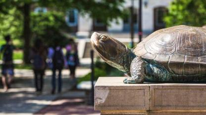 Testudo at UMD