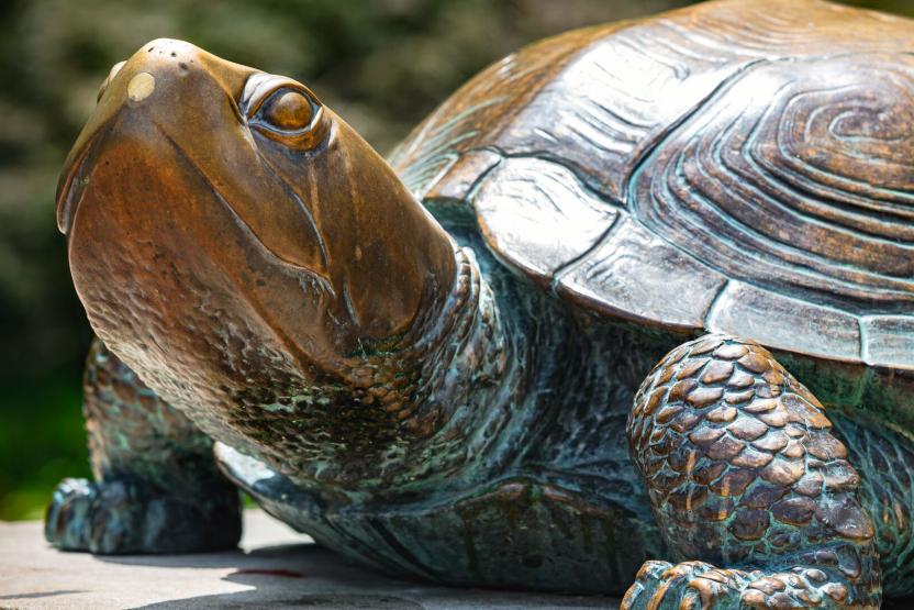 A statue of Testudo looks out into the distance