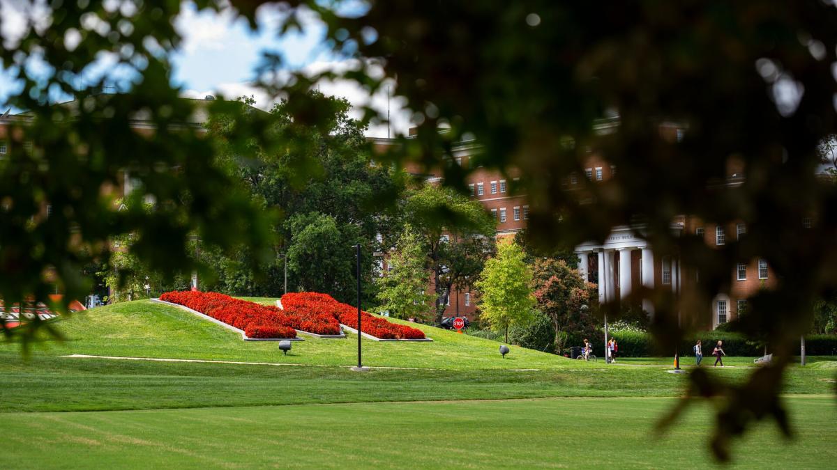 The Maryland M made up of flowers on a hill on Maryland's campus