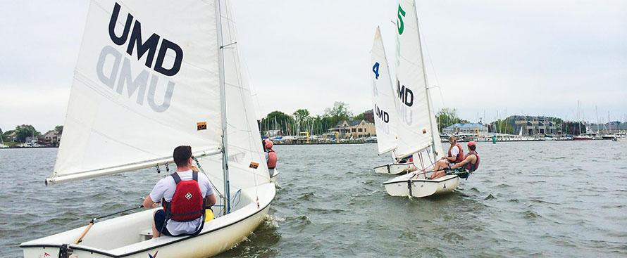 terp sailing