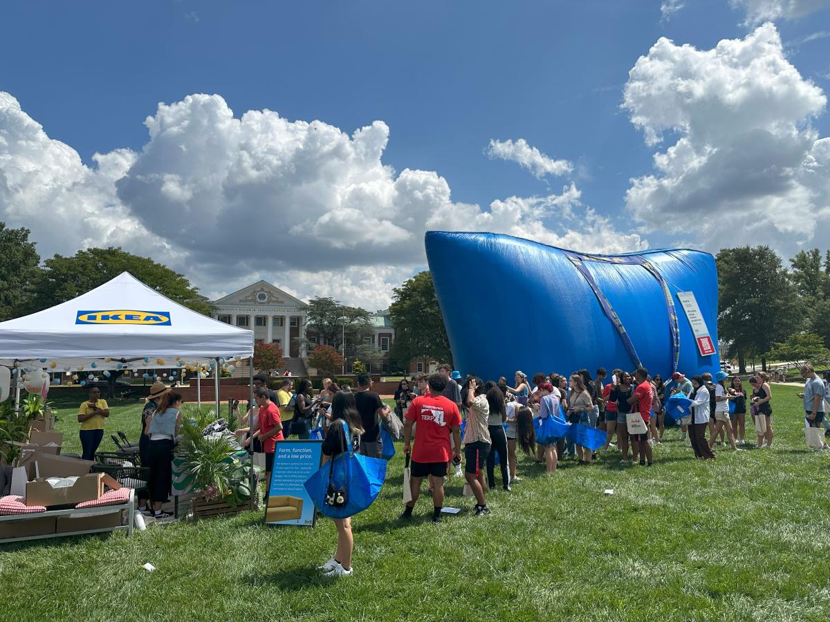 IKEA Bag @ FreeFest