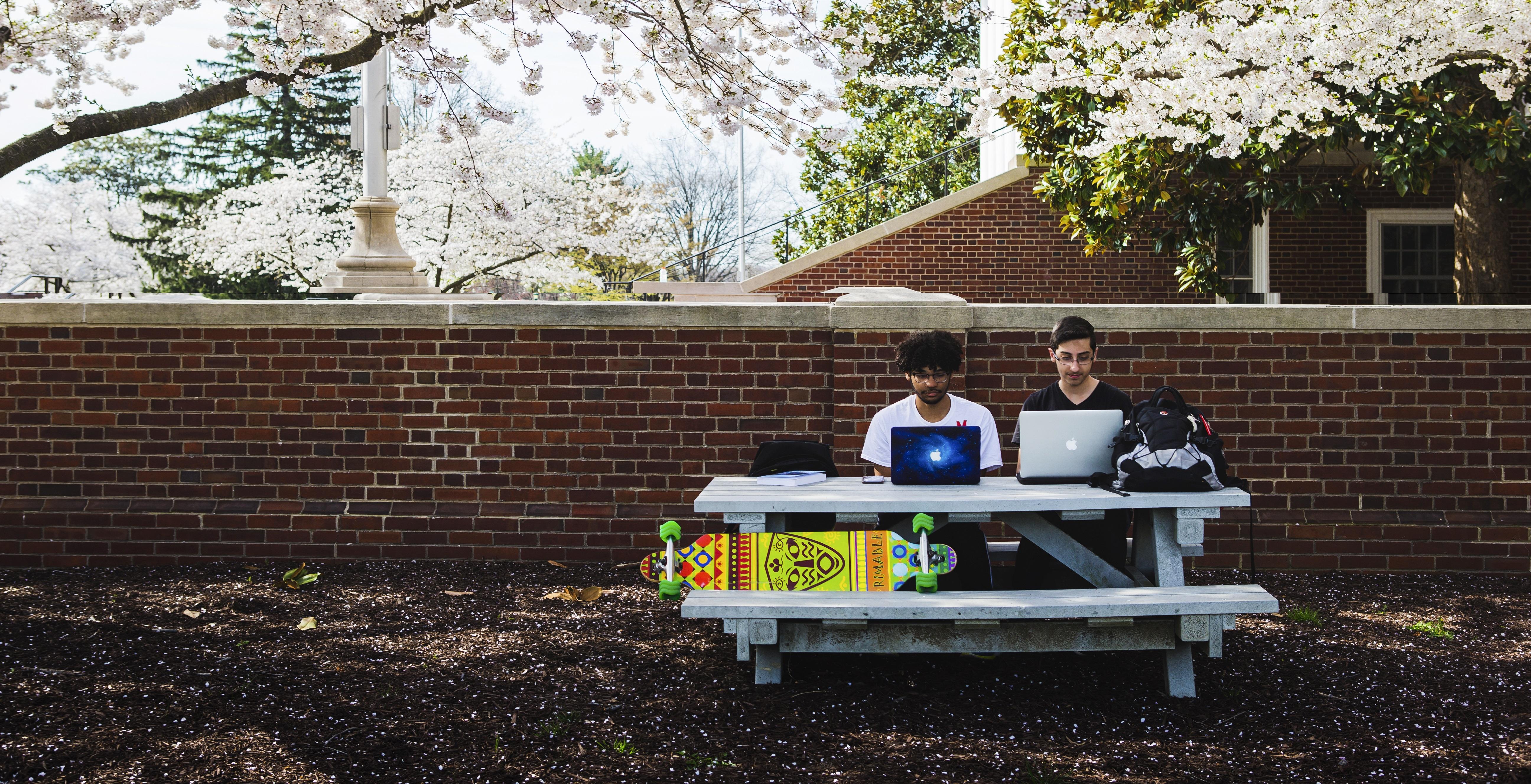 Students sitting under cherry blossom trees at a picnic table with laptops in front of the brick wall next to Reckord Armory.
