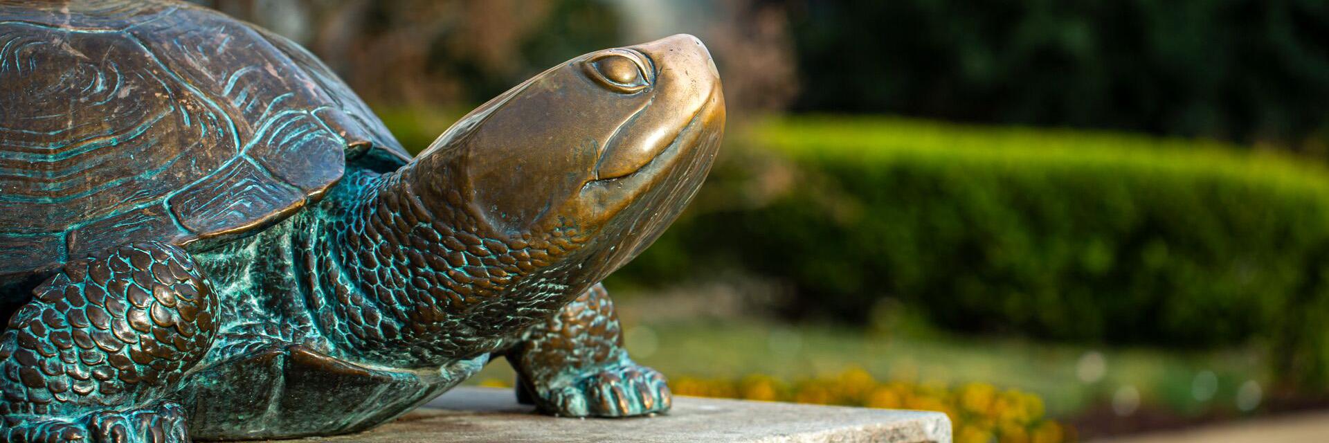 The Testudo statue on the campus of UMD