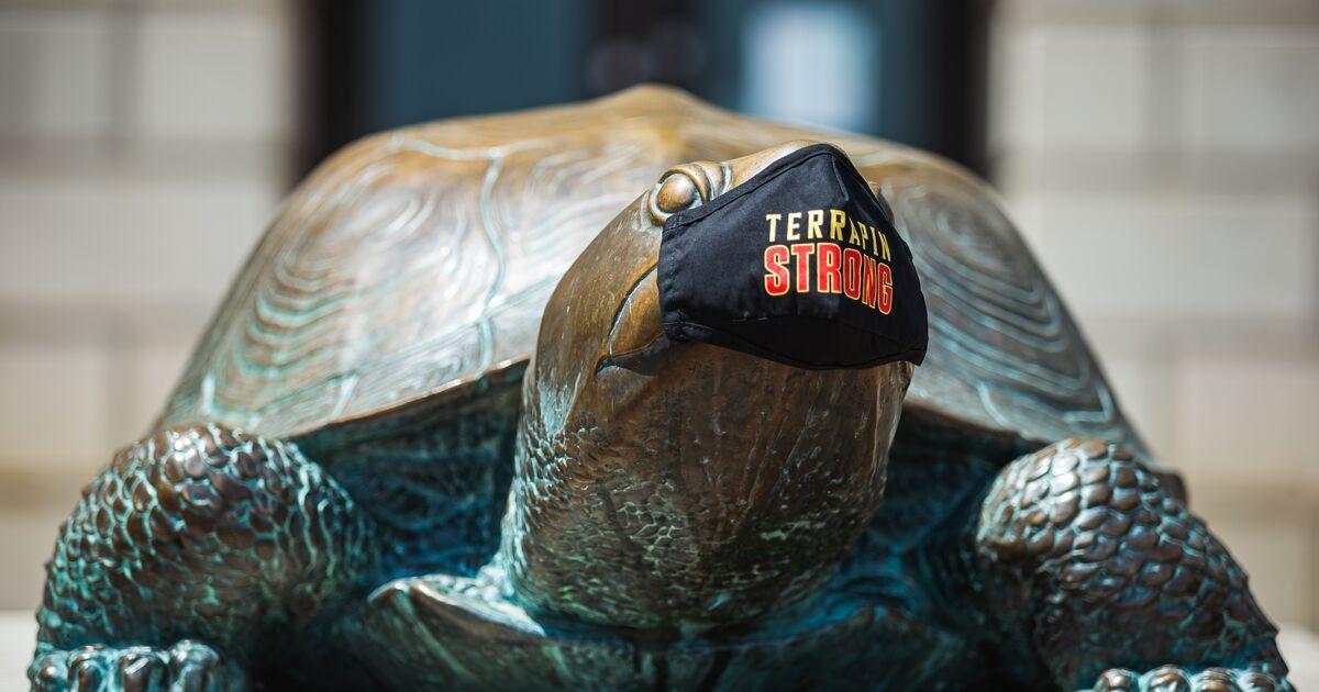 Testudo statue in front of McKeldin Library with the Terrapin Strong branded face mask.