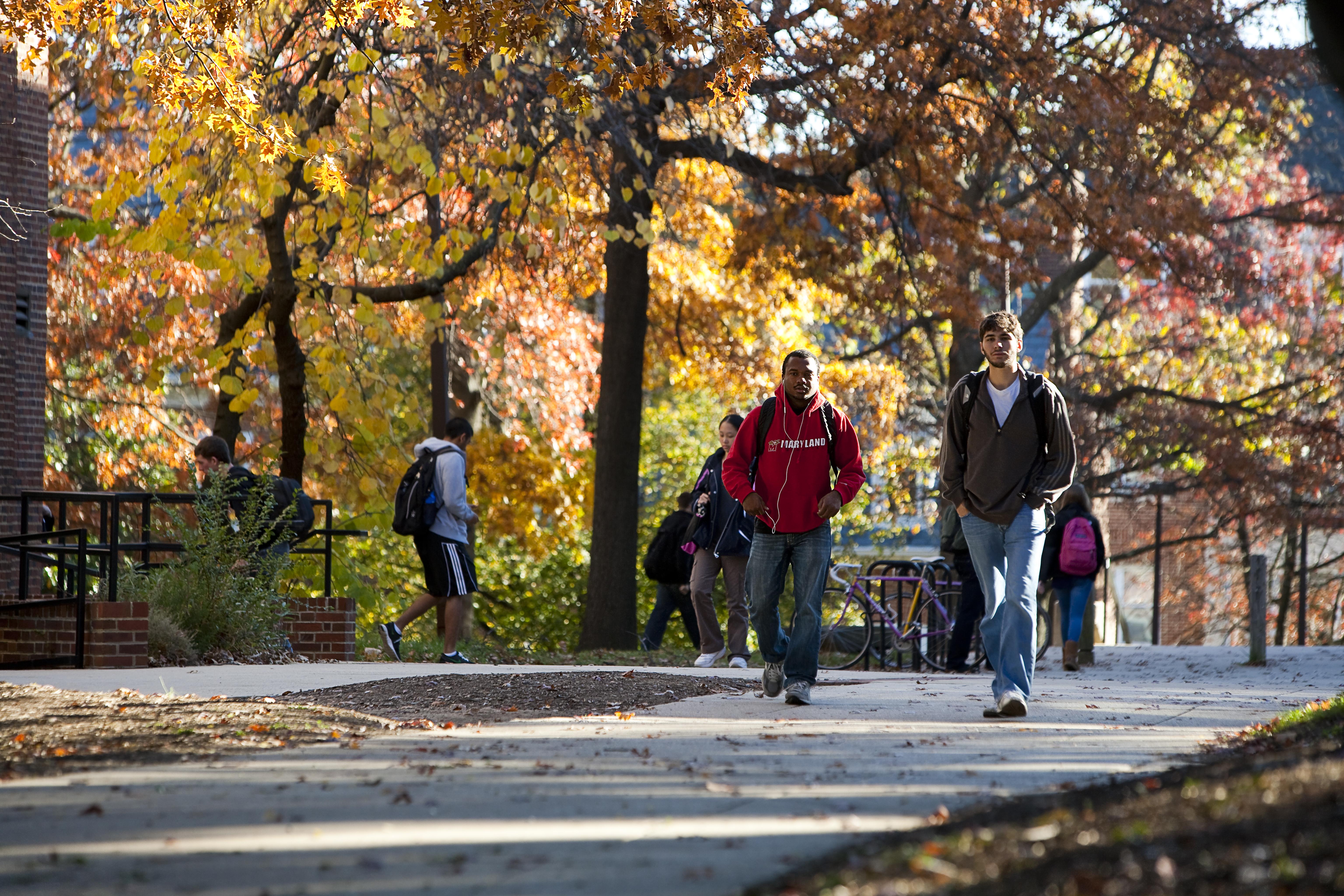 Students walk across campus in the fall