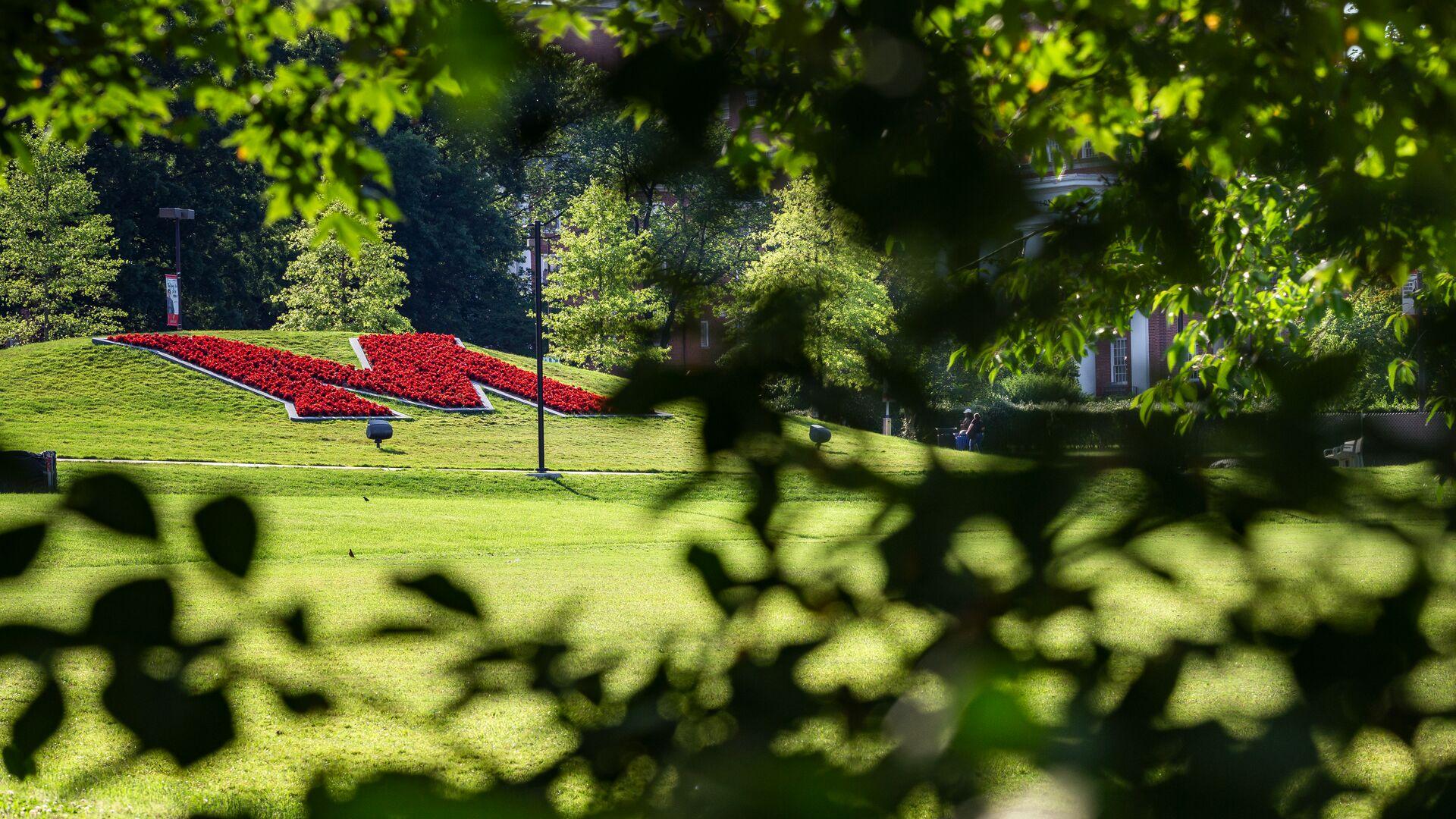 Maryland M in red flowers on UMD campus