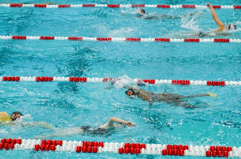 Several swimmers in lanes in an indoor lap pool.