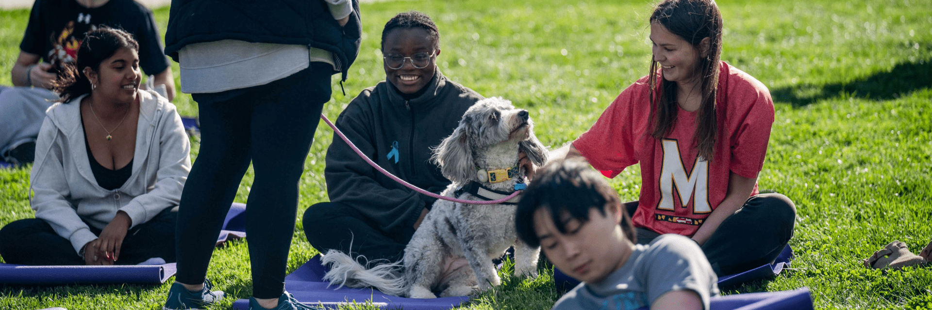 Students sit on yoga mats on a campus lawn, smiling and petting a fluffy dog.