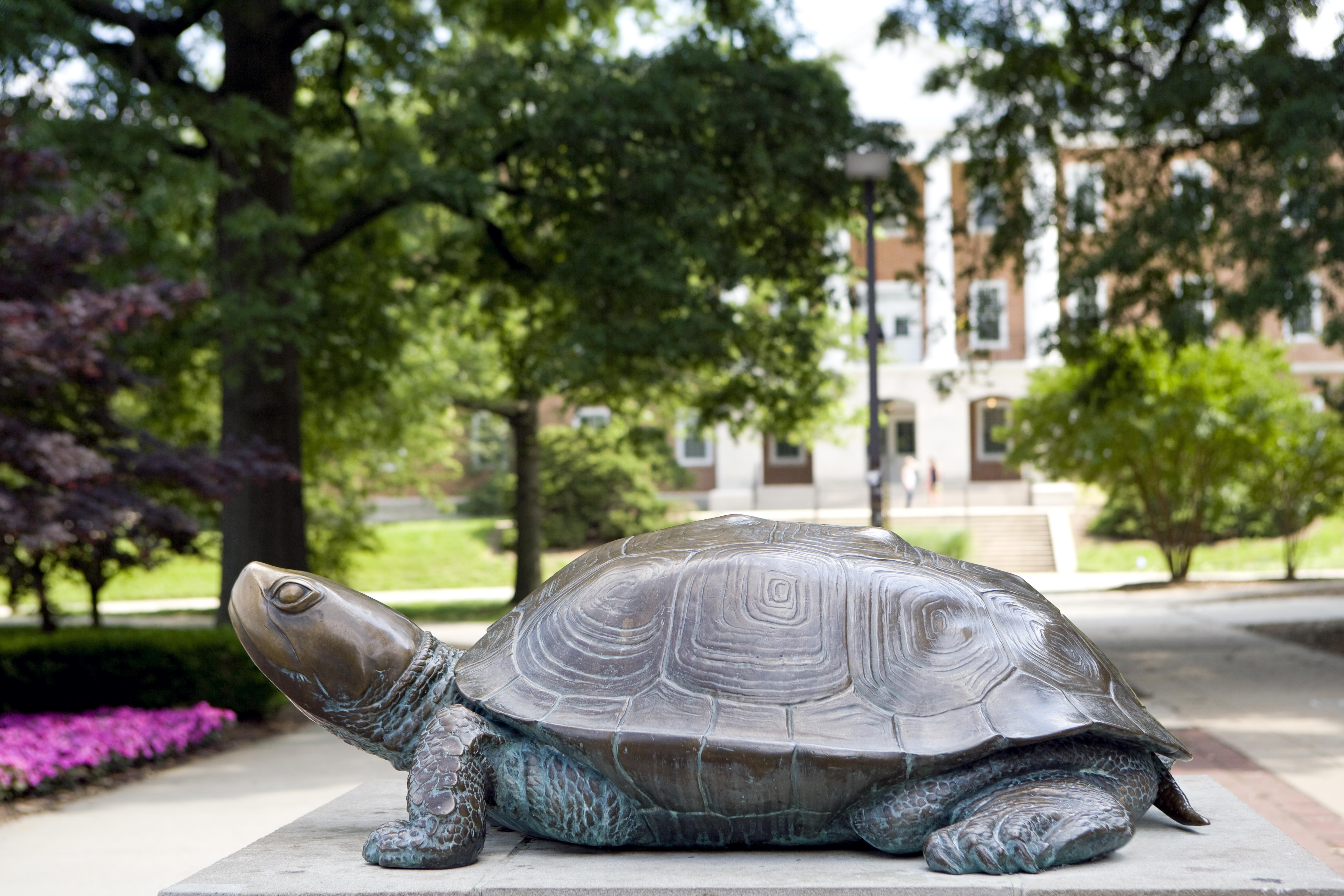 Portrait of Brandon Edwards '16