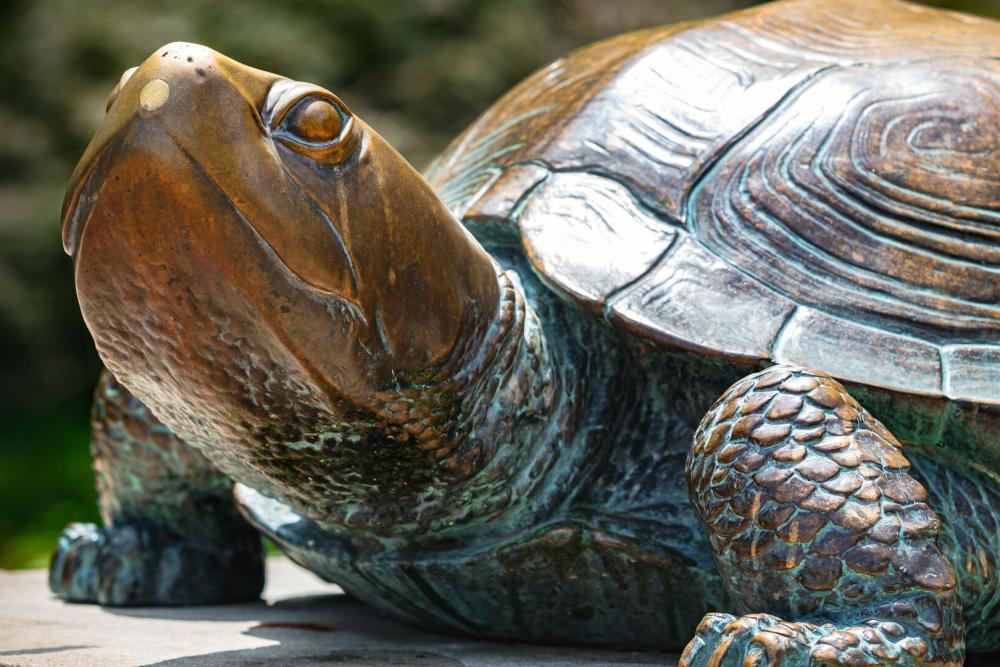 A statue of Testudo looks out into the distance